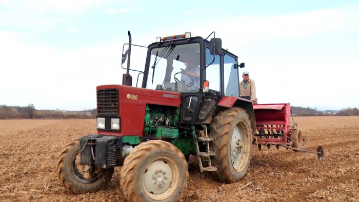 Підбили підсумки: на Закарпатті завершили весняну посівну кампанію