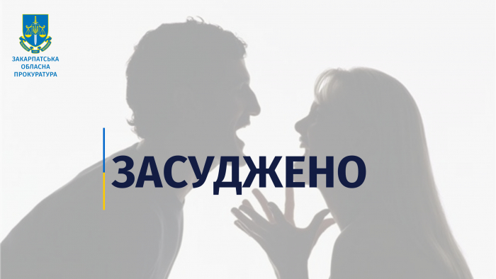 За систематичне вчинення домашнього насильства в сім’ї засуджено жителя Хустщини