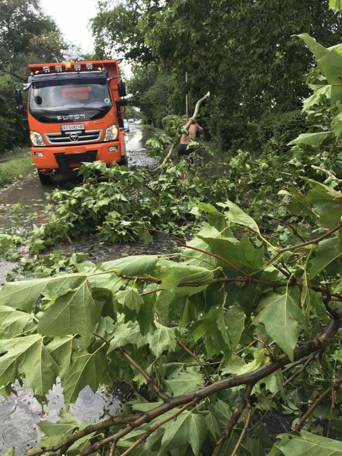 Повалені дерева та затоплені вулиці. Наслідки грози в Ужгороді 
