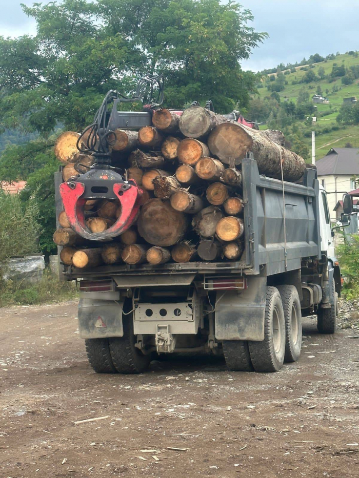 На Рахівщині викрили підприємицю, яка причетна до незаконної вирубки, транспортування та збуту лісопродукції