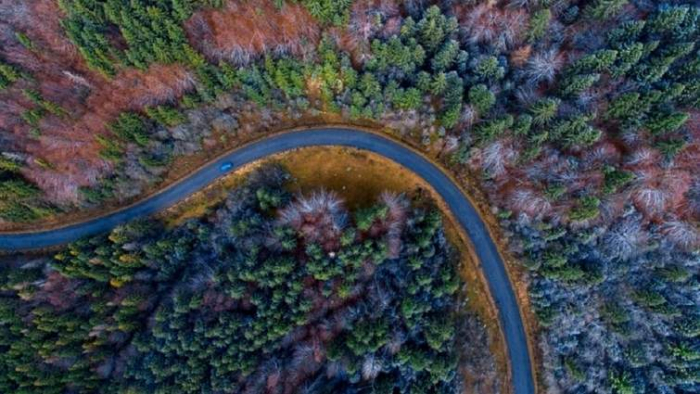 Закарпатські національні парки та заповідники. Маршрути, безпечні для відвідування в умовах війни