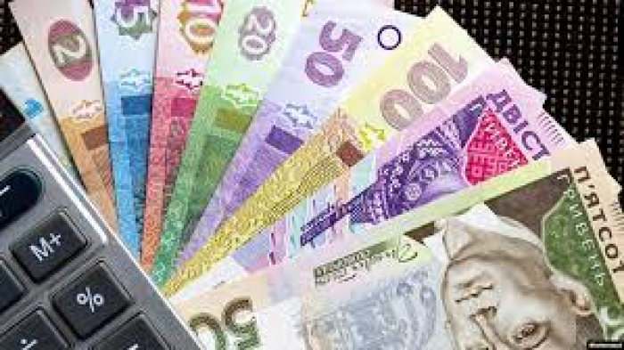 "Підприємливою" мукачівкою, яка сфабрикувала документи про народження третьої дитини, зайнялися правоохоронці