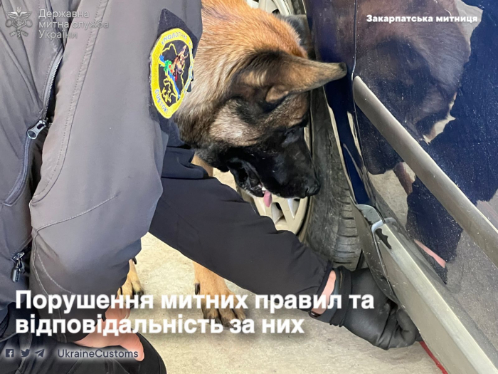 Зброя, наркотики, психотропи і сигарети – що виявлять службові собаки Закарпатської митниці
