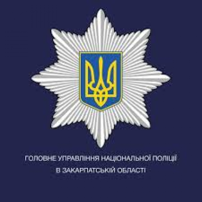 До суду скеровано справу за фактом хуліганських дій у навчальному закладі Сваляви