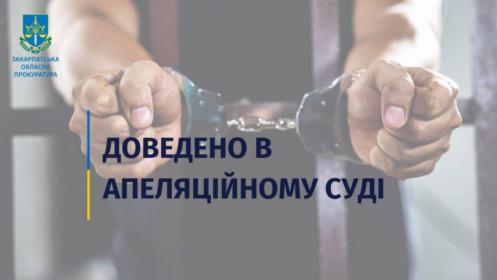 11 років позбавлення волі за зґвалтування племінниці – облпрокуратура в апеляції відстояла покарання для кривдника