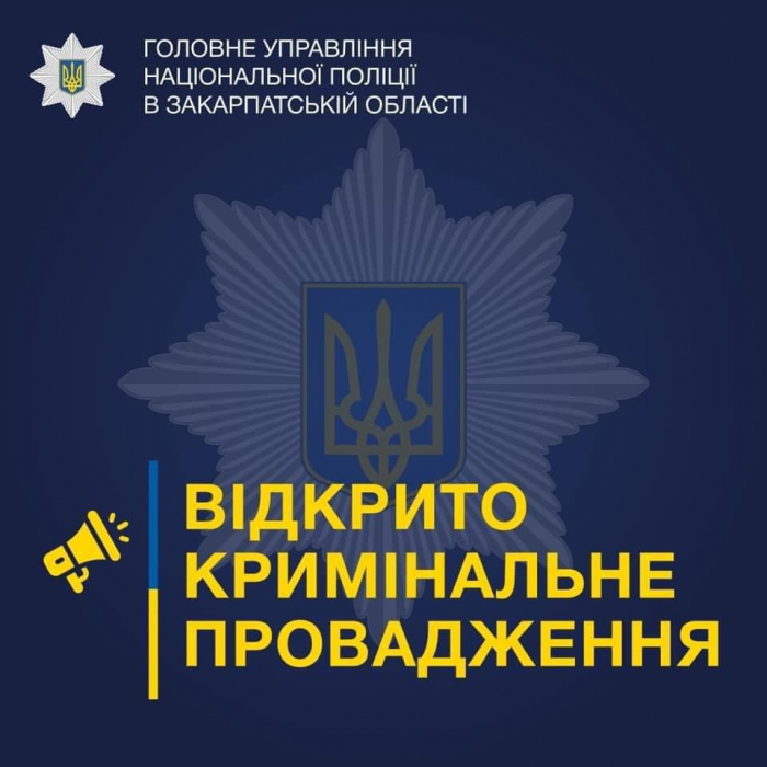 Поліція Тячева кваліфікувала бійку у одній зі шкіл району як хуліганство