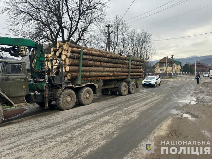На Тячівщині поліція затримала дві вантажівки з нелегальною лісопродукцією