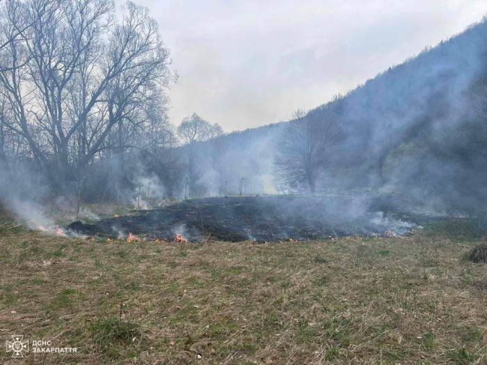 17 пожеж в екосистемах сталося на вихідних на Закарпатті, знищено 9 га сухостою та чагарників