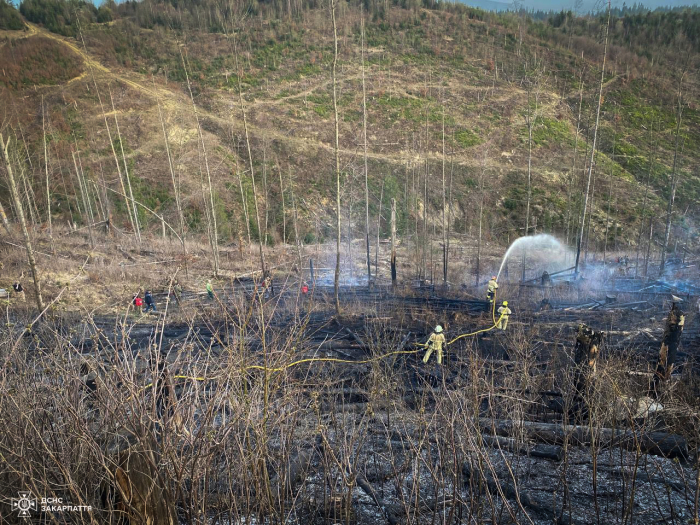 125 рятувальників та 17 одиниць техніки сьогодні залучили на гасіння пожежі на 6 гектарах Лазещинського лісництва