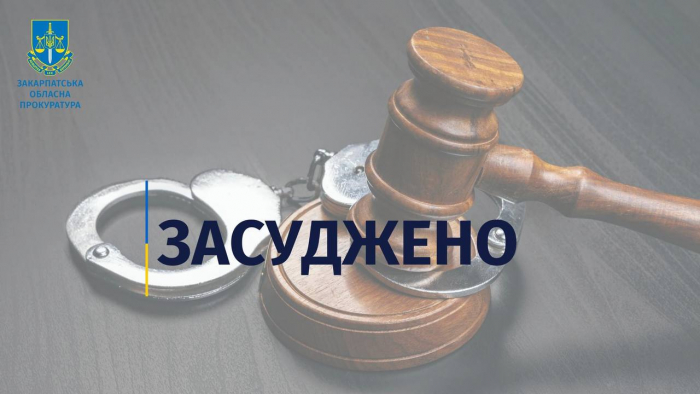 7 років ув’язнення та конфіскація майна – вирок суду мешканцеві Берегівщини, який переправляв до Угорщини військовозобов’язаних 
