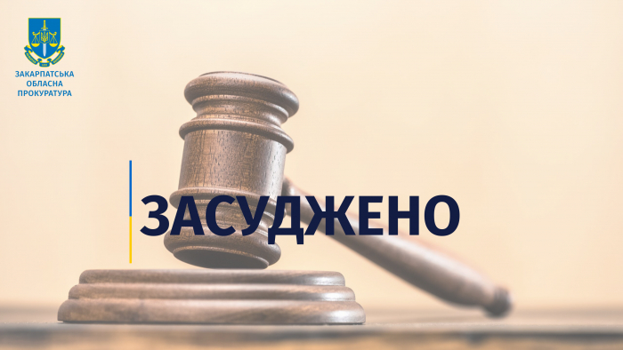 На Тячівщині засуджено місцеву жительку, яка підтримувала путіна та звинувачувала Україну у розстрілі мирного населення