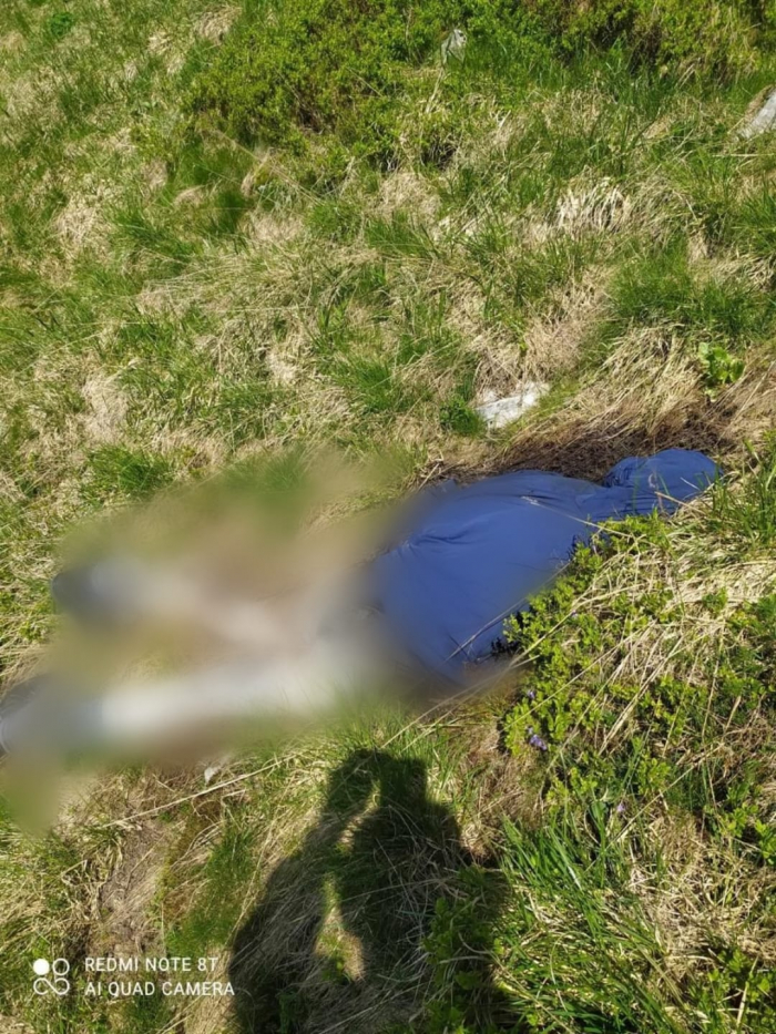 Чоловік, якого мертвим виявили у горах, нібито планував купити на Закарпатті рідкісне авто