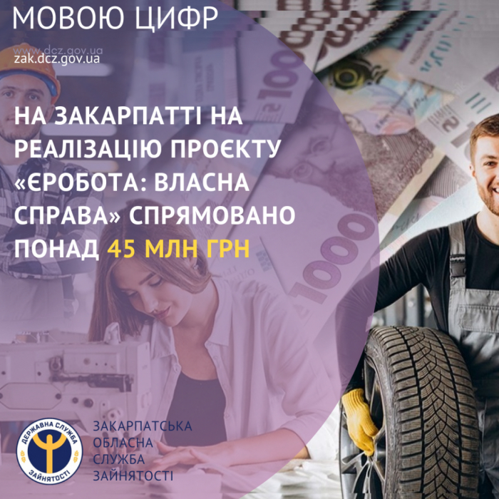 Понад 45 млн грн спрямували на Закарпатті на реалізацію проєкту «єРобота: Власна справа»