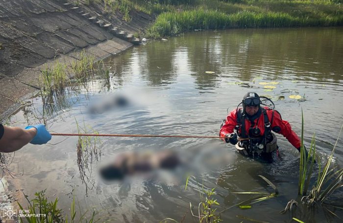 Трагедія на Берегівщині: потонули одразу двоє дітей