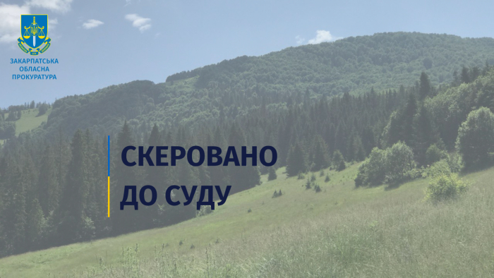 На Тячівщині судитимуть депутата за шахрайське заволодіння землею вартістю майже 1,2 млн грн