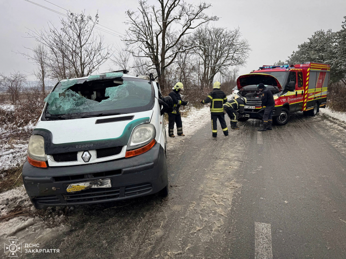 ДТП на Хустщині: перекинувся мікроавтобус, усіх пасажирів доправили до лікарні