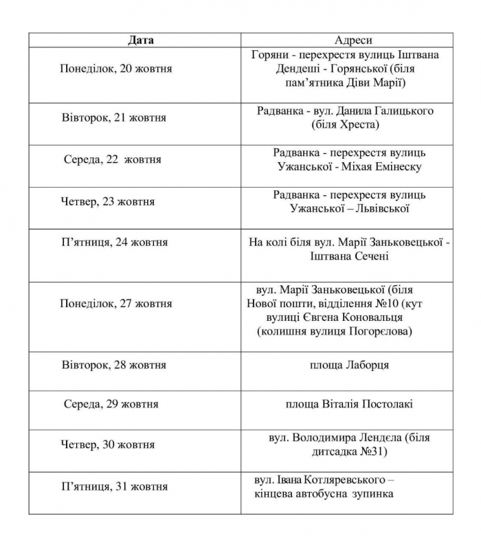 В Ужгороді безкоштовно щепитимуть домашніх котів та собак від сказу