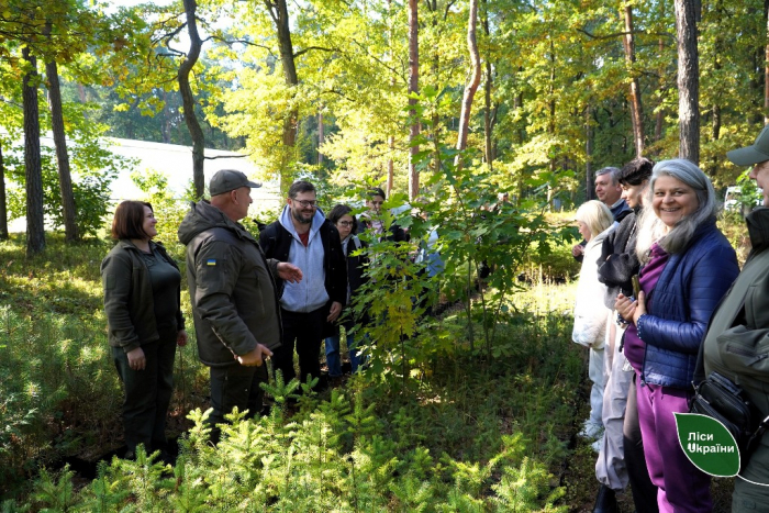 Лісівники Карпатського лісового офісу продемонстрували практики відповідального лісогосподарювання відповідно до вимог FSC®