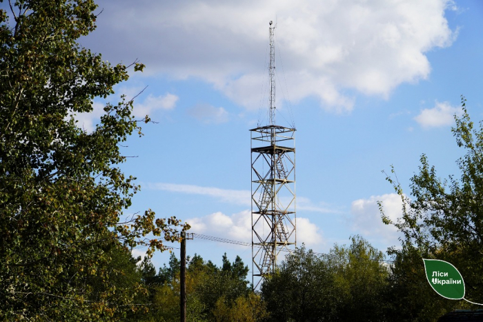 Лісівники Карпатського лісового офісу спостерігають за лісами в режимі реального часу