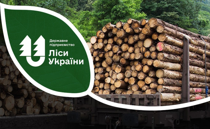 Філія «Карпатський лісовий офіс» передала для ЗСУ майже 13 тис. кубометрів деревини