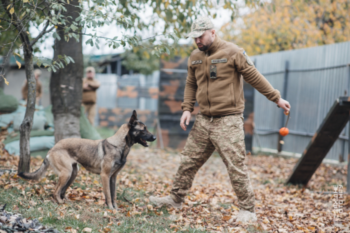 Закарпатські гвардійські кінологи вдосконалюють майстерність