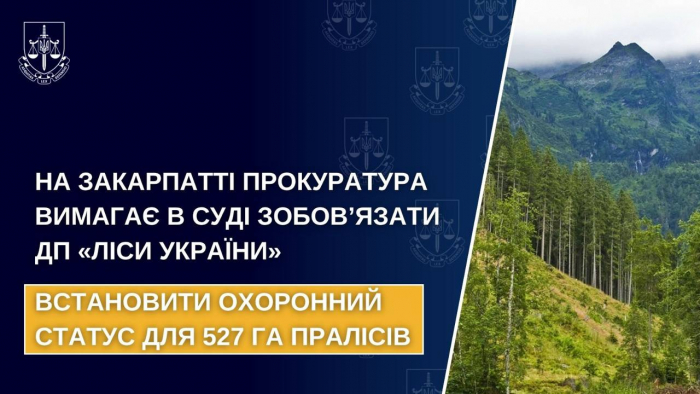 На Закарпатті прокуратура вимагає в суді зобов’язати ДП «Ліси України» встановити охоронний статус для 527 га пралісів