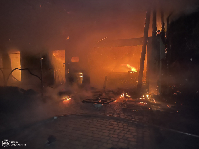 Вогнеборці Тячівщини запобігли поширенню полум’я на житловий будинок