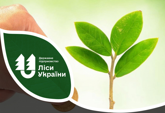 Понад 308 млн грн податків сплатили закарпатські лісові господарства ДП "Ліси України" протягом 2024 року