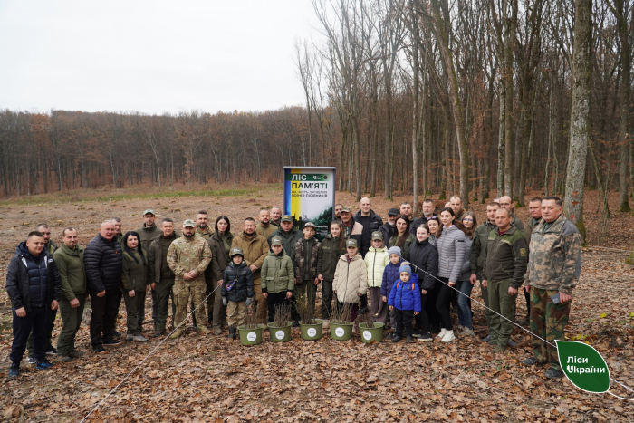 На Закарпатті лісівники висадили Ліс пам’яті