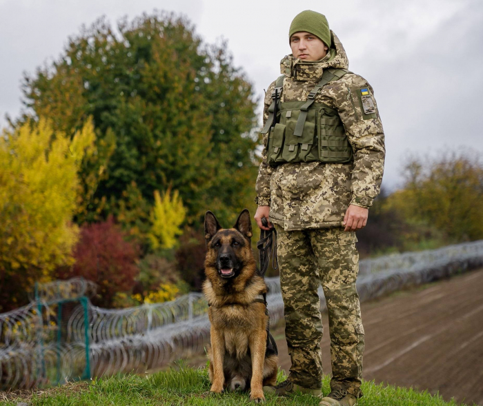 Кінолога Чопського прикордонного загону та його вівчарку відзначили на всеукраїнській церемонії «Чотирилапі захисники»
