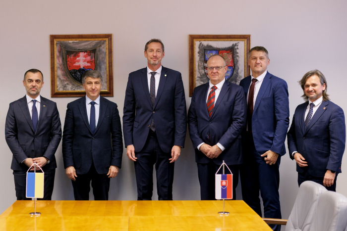 «Карпатська ініціатива» має прихильників у Європі - Мирослав Білецький

