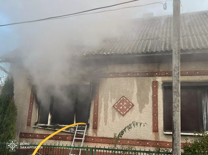 Трагедія на Закарпатті: у пожежі загинула 30-річна жінка