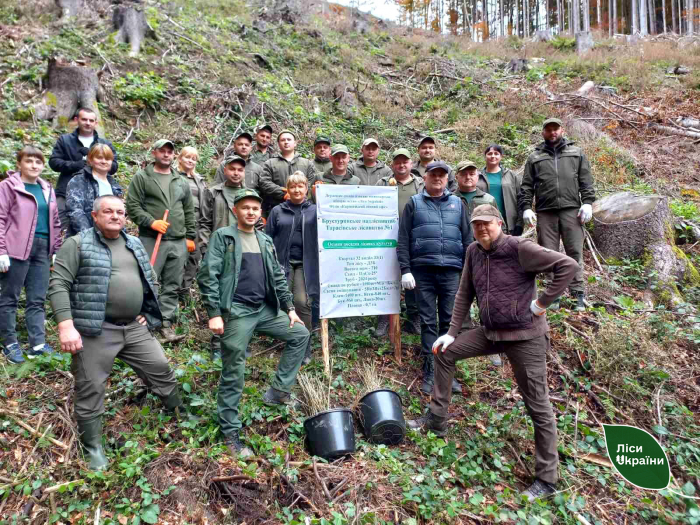 Акцент на створенні мішаних лісів: лісівники Карпатського регіону підбили підсумки лісокультурної кампанії 2025 року
