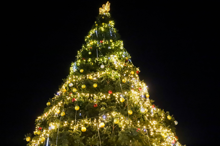 В Ужгороді відкрили головну ялинку міста