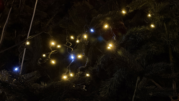 Які різдвяні традиції існують на Закарпатті