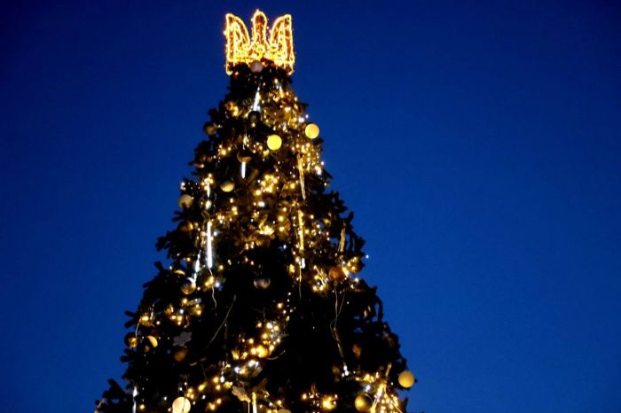 Головну ялинку Ужгорода урочисто відкриють 5 грудня