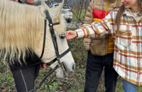 Ужгородські ветерани взяли участь у реабілітаційному інтенсиві з іпотерапії