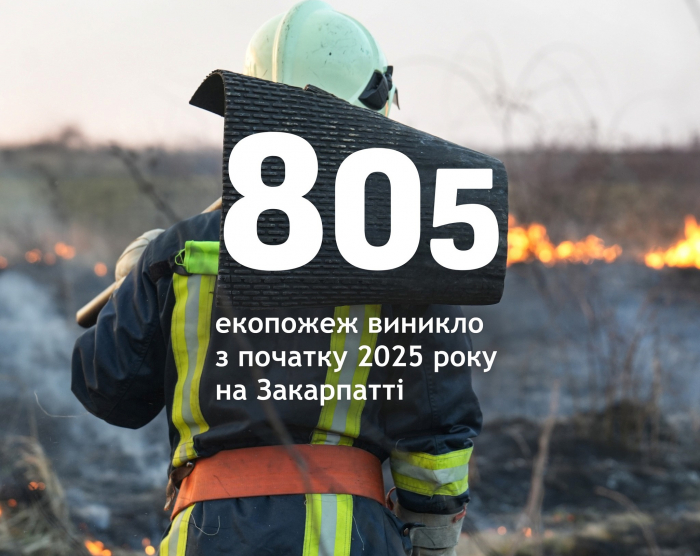 805 пожеж в екосистемах області ліквідували з початку року закарпатські рятувальники