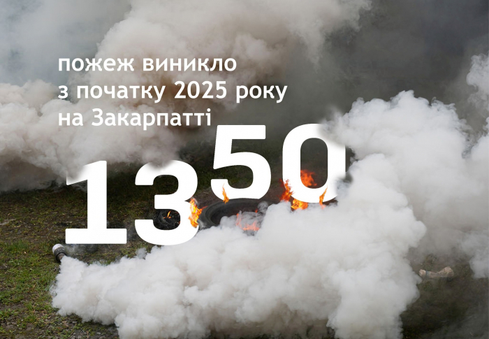 На Закарпатті з початку року сталося 1350 пожеж проти 672 за той самий період минулого року