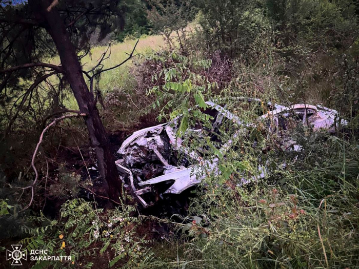 На Хустщині рятувальники ліквідували пожежу електромобіля Tesla