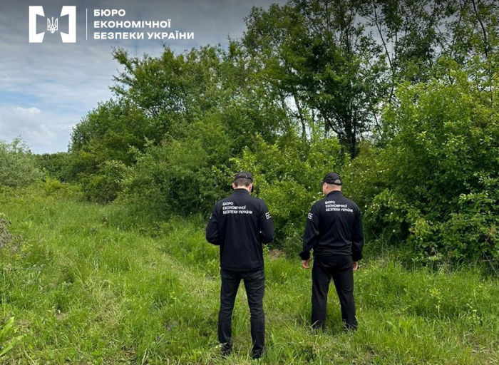 Сади тільки на папері: через «Ощадбанк» на Закарпатті вивели десятки мільйонів з держбюджету
