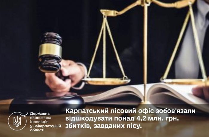 Карпатський лісовий офіс має сплатити майже 4,3 млн грн компенсації за шкоду, завдану довкіллю - рішення суду