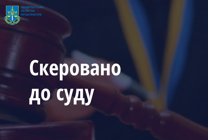 На Берегівщині прокуратура затвердила обвинувачення торгівцю боєприпасами