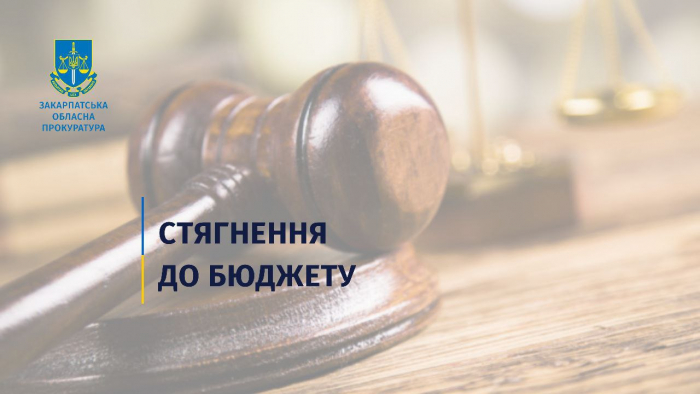 У Хусті недобросовісний орендар сплатить до бюджету майже 290 тис. грн боргу за користування комунальною землею