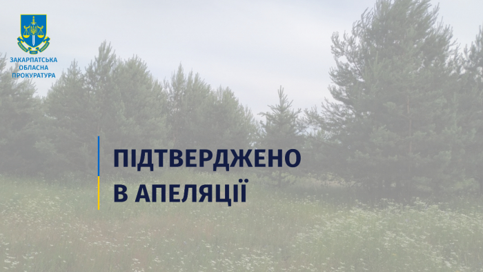 33 га самозаліснених земель: на Тячівщині прокуратура в апеляційному суді довела законність вимог зобов’язання сільської ради взяття їх на облік
