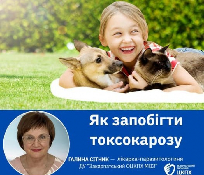 В області спалах небезпечної паразитарної хвороби, яку розповсюджують собаки і коти. Як уберегтися?