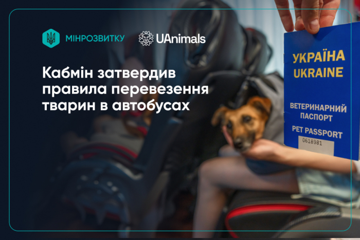 Нові правила для пасажирів з тваринами: Кабмін унормував перевезення у міжміському транспорті