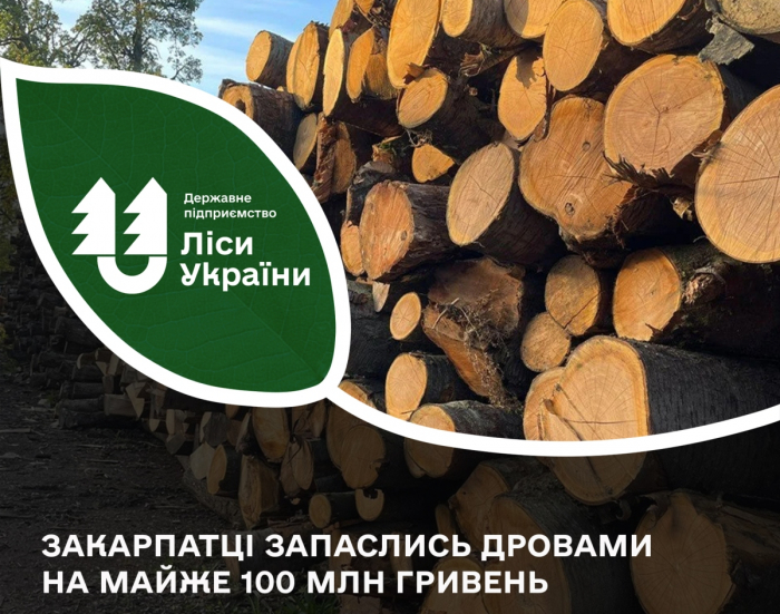 Закарпатці з початку року запаслись дровами на майже 100 млн гривень