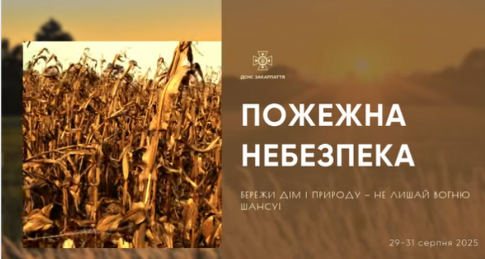 Останні дні літа будуть спекотними: на Закарпатті оголошено надзвичайний рівень пожежної небезпеки
