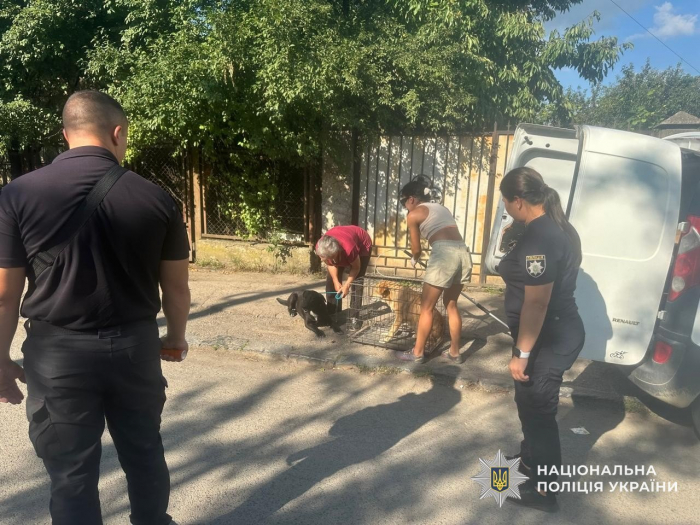 Поліція встановила власницю собак, які нападали на людей в Ужгороді — тварин вилучено, а жінку притягнуто до відповідальності

